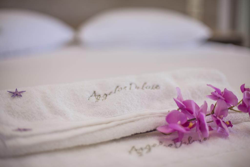 Aggelos Apartments & Deluxe Studios Nydri  Room photo